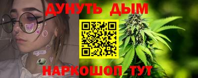 прущие грибы Краснознаменск