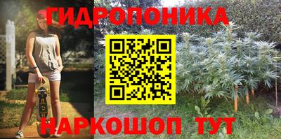 прущие грибы Краснознаменск