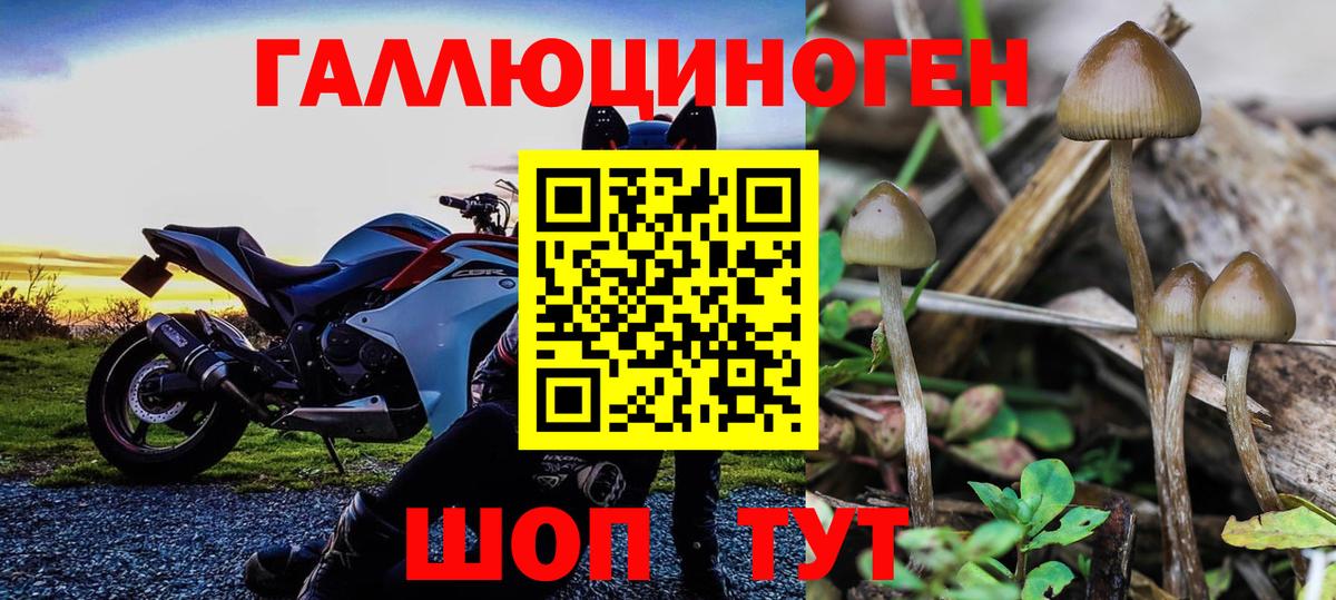 Героин Котлас