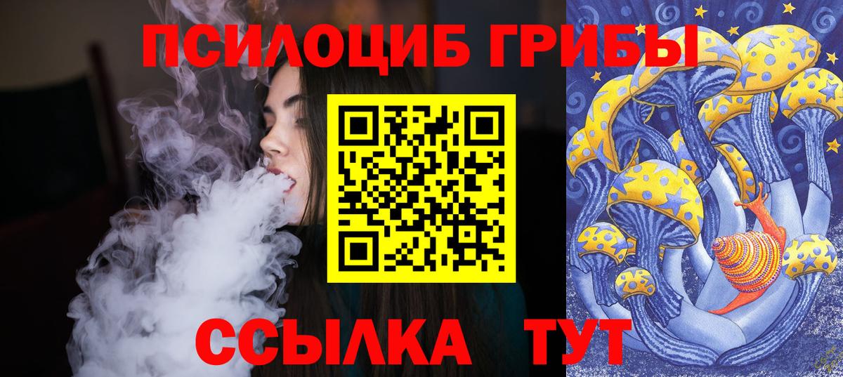 Галлюциногенные грибы Cubensis  Вход с VPN  Псилоцибиновые грибы GOLDEN TEACHER  Котлас 